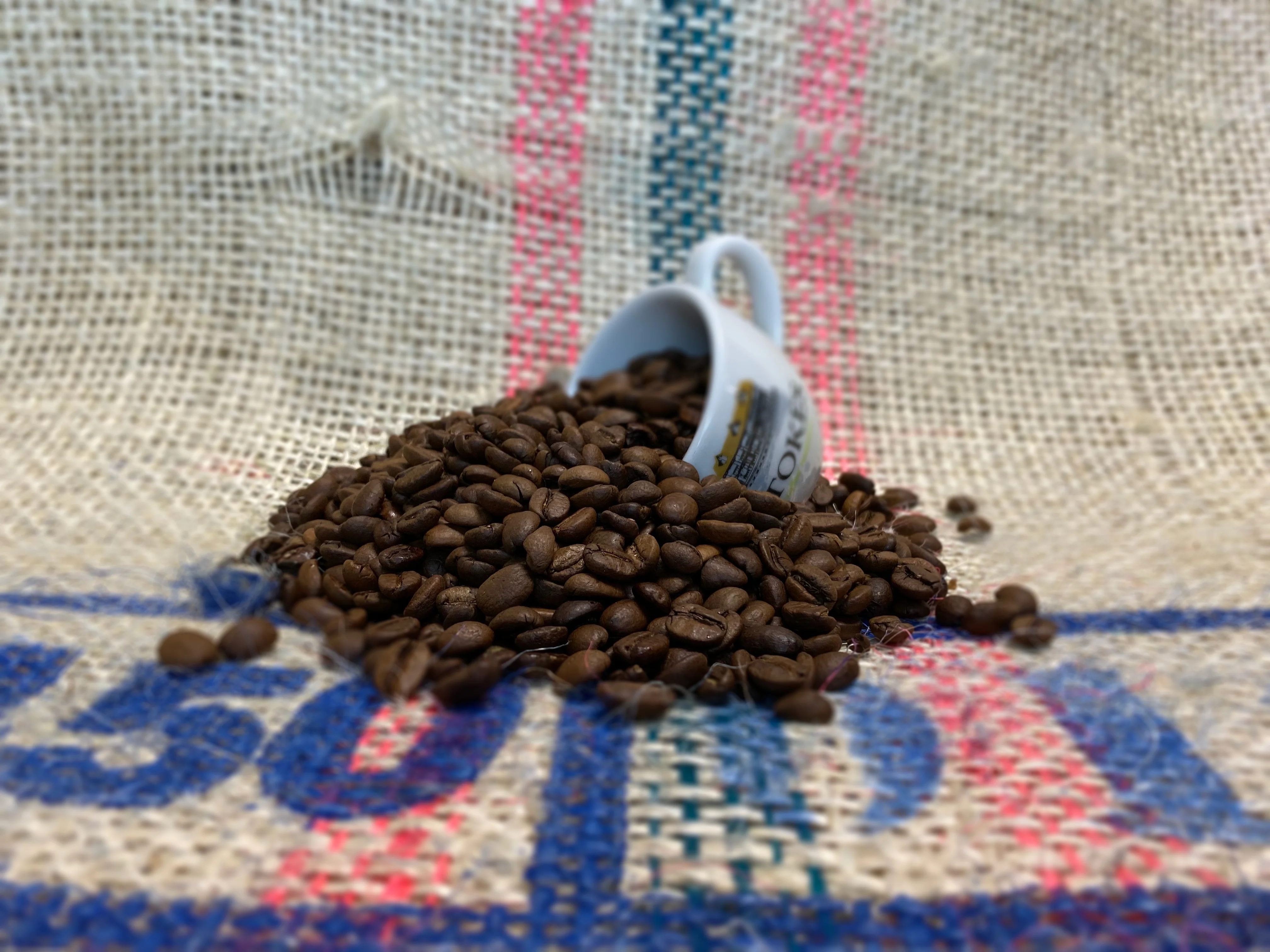 Full Of Beans - Image 3